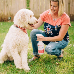 Home Treatment Kit | Flea & Tick Spray