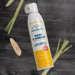 Wasp & Hornet for Porch + Patio