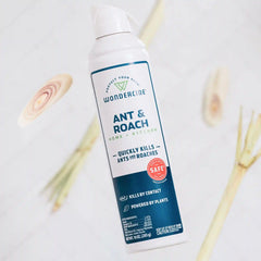 Ant & Roach for Home + Kitchen