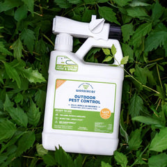 Ready-to-Use Outdoor Pest Control Spray