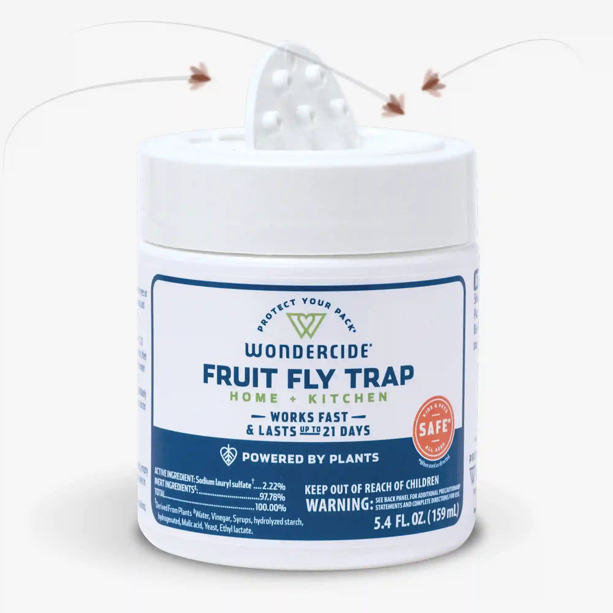Fruit Fly Trap for Home + Kitchen