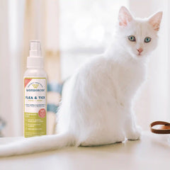Lemongrass Flea & Tick Spray for Pets + Home