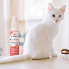 Peppermint Flea & Tick Spray for Pets + Home