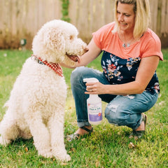 Rosemary Flea & Tick Spray for Pets + Home