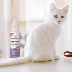 Rosemary Flea & Tick Spray for Pets + Home