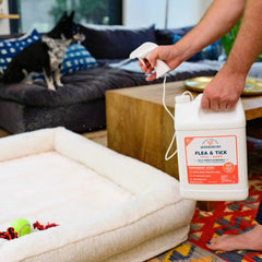 128 oz. Peppermint Flea & Tick Spray