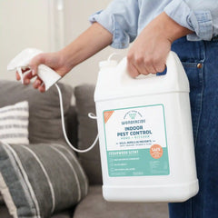 Cedarwood Indoor Pest Control for Home + Kitchen