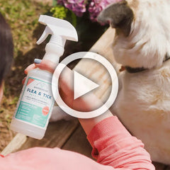16 oz. Flea & Tick Spray for Pets + Home